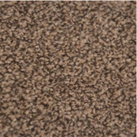 Attraction hazelnoot 0465